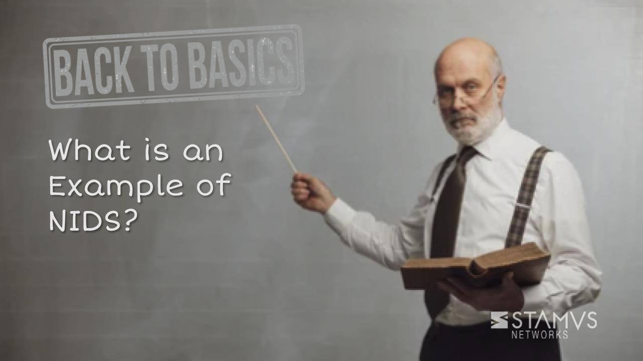 What is an Example of NIDS?